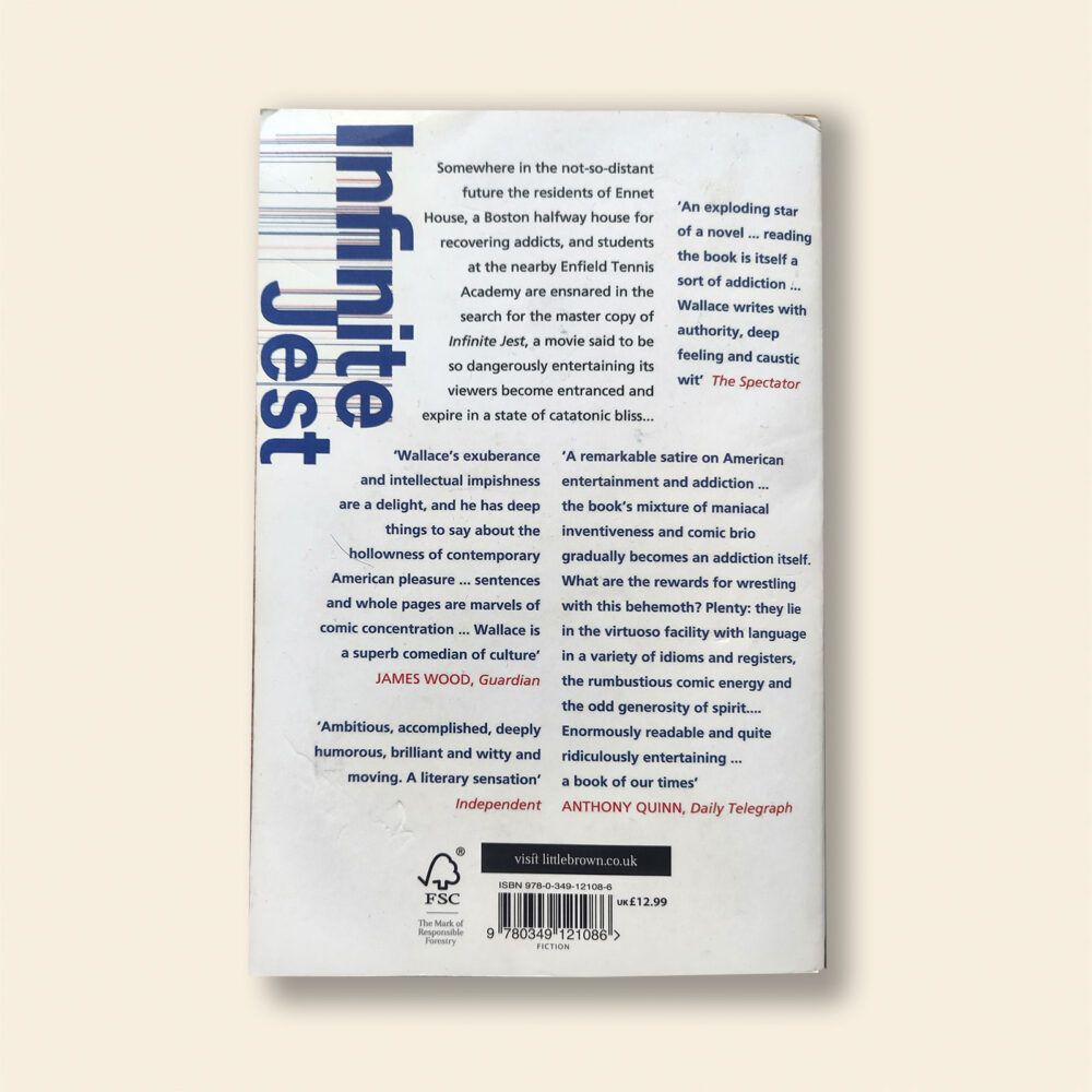 Infinite Jest - Image 2