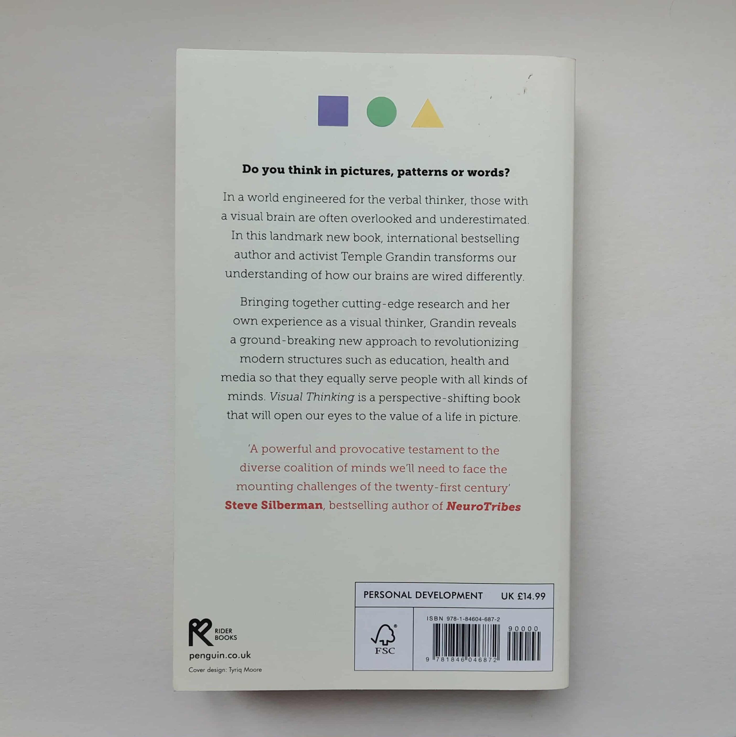 Visual Thinking: The Hidden Gifts of People Who Think in Pictures, Patterns, and Abstractions - Image 2